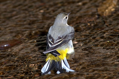 �������ڎ�2