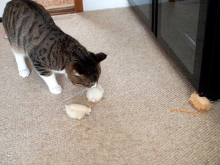 ���ͤ���07