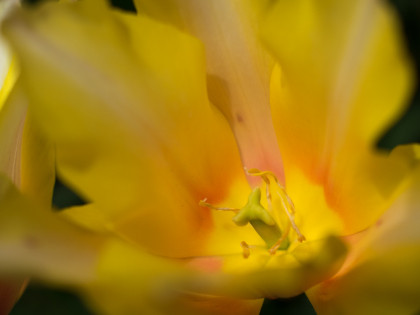 ���͸���17