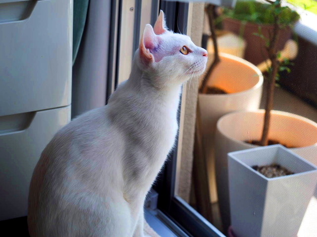 ���������1