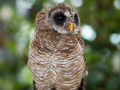 ���Ҏ؎��ˎŎ̎��ێ�