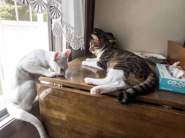 ����������1