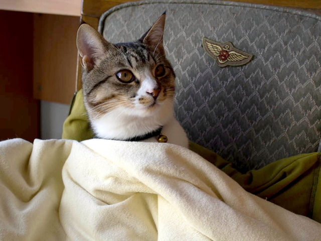 ���ͤ���16