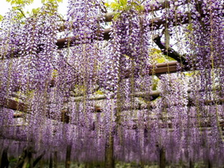 ���ĸ���15