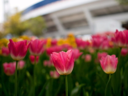 ���͸���1