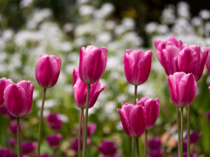 ���͸���9