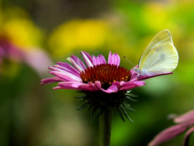 �ӎݎ��ێ�����02