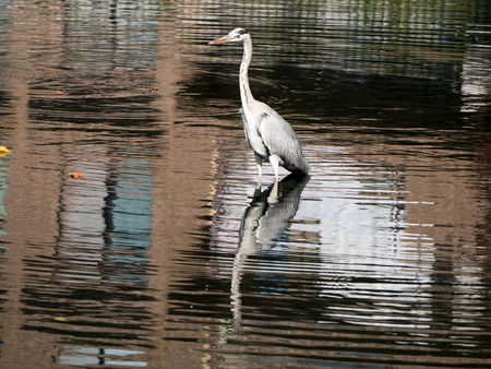 ����������3