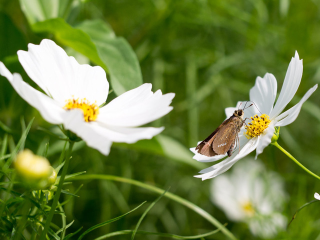 �����؎�����07