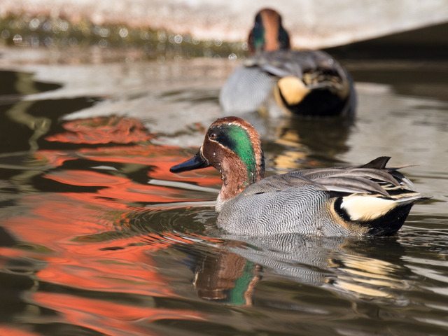 �����ގ�