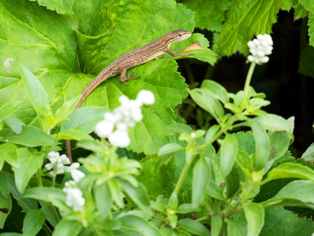 �Ď�����02