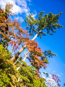 Ȣ�����Ѵۤι���