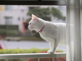 ���ͤ�����7