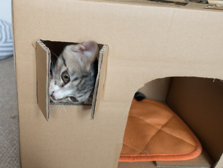 ���ͤ���79