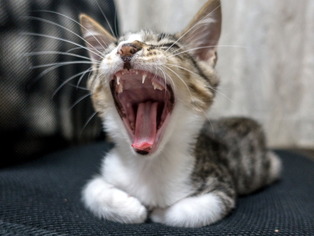 ���ͤ���88