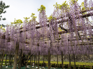 ���ĸ���16