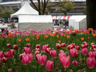 ���͸���24