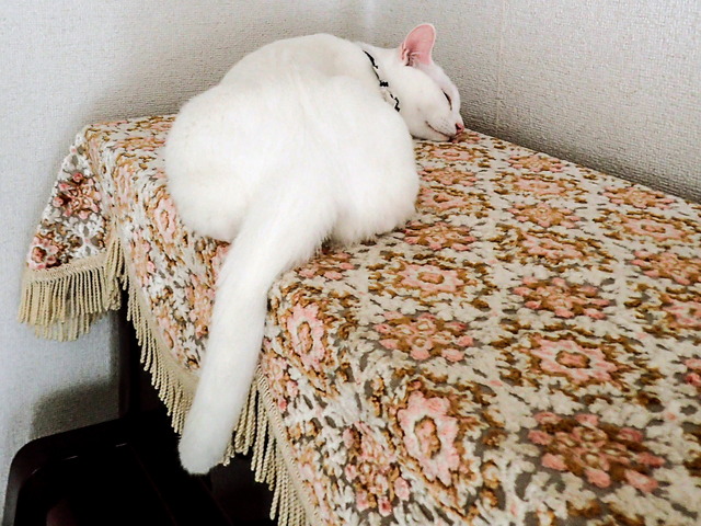 ���������3