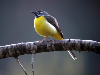 �������ڎ�3