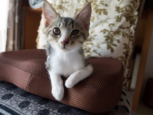 ���ͤ���57