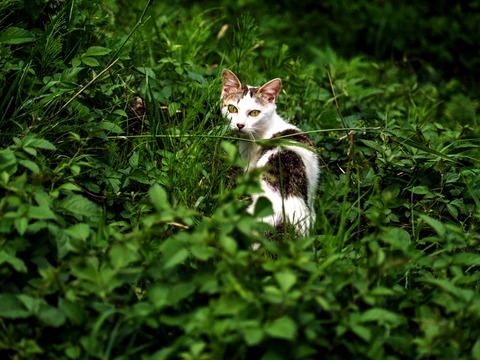 ������33