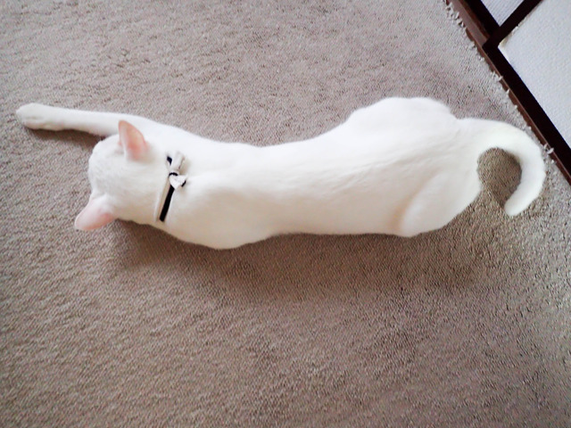 ���������2