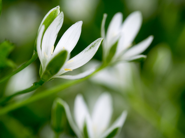 �������ώ�1