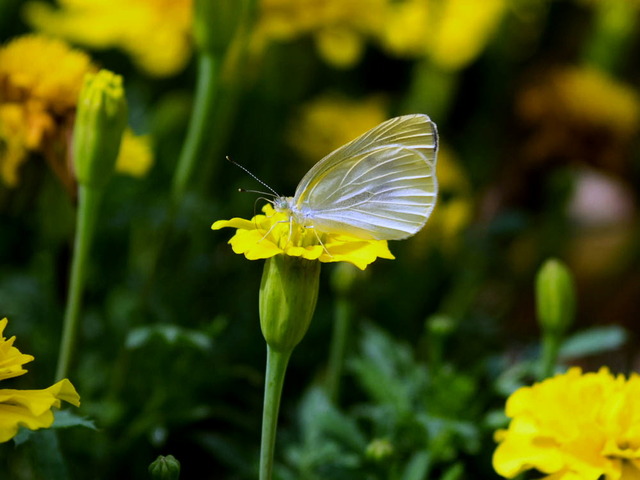 �ӎݎ��ێ�����01