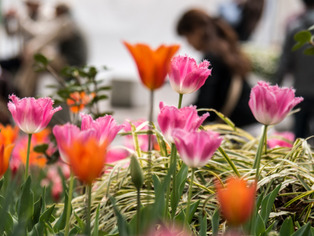 ���͸���11