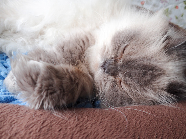 ��Ȥ����1