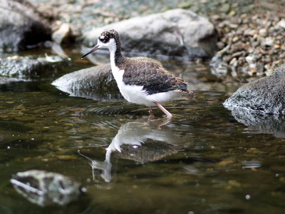 ��������������2