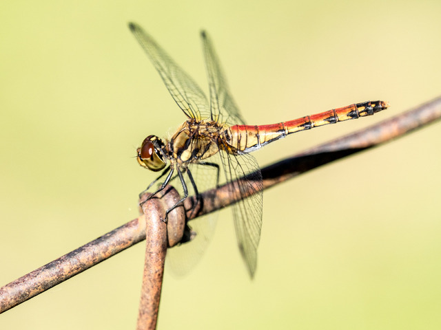 ����������03