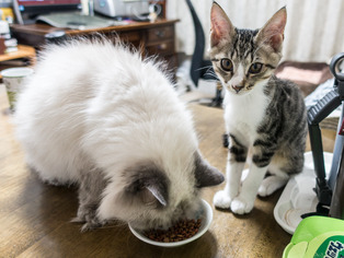 ���ͤ�Τ��08