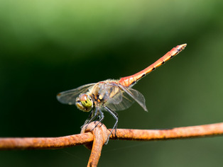 ����������02