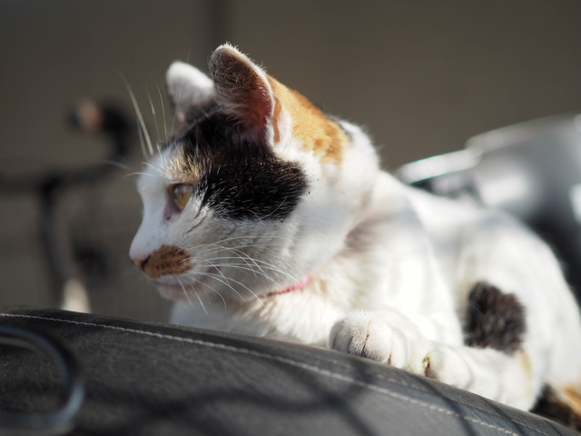 �ߡ������2