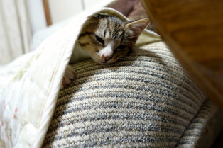 ���ͤ���09