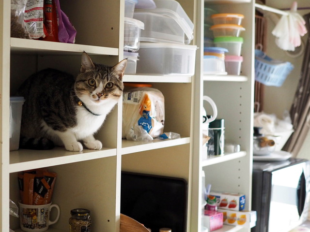 ���ͤ���1