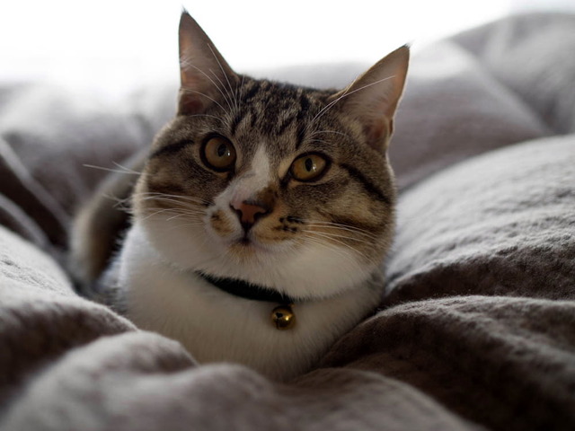 ���ͤ���05