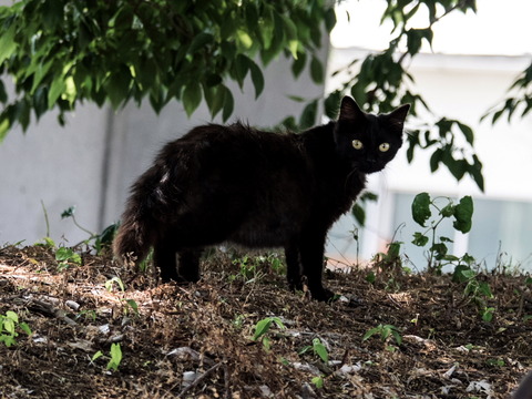 ������29