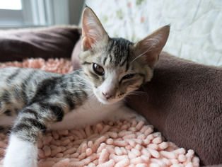 ���ͤ���65