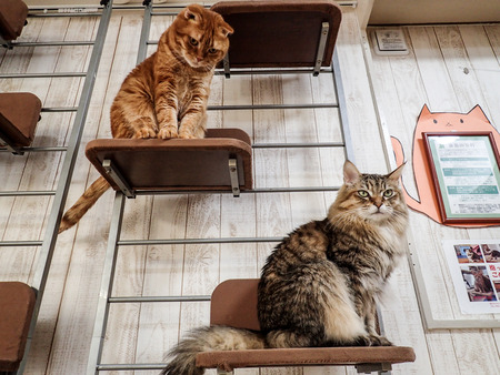 ǭ���ե��줪��18