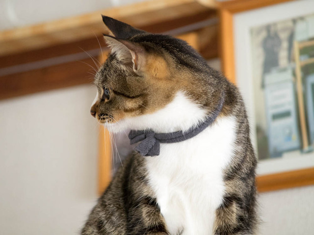 ���ͤ���3