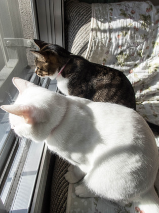 ���ͤ�����14