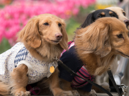 ���͸���20