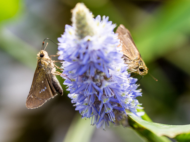 �����؎�����08