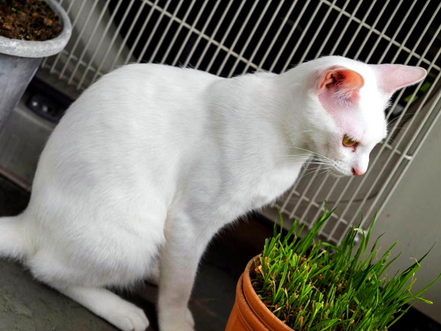 ���������2