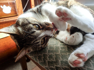 ���ͤ���6