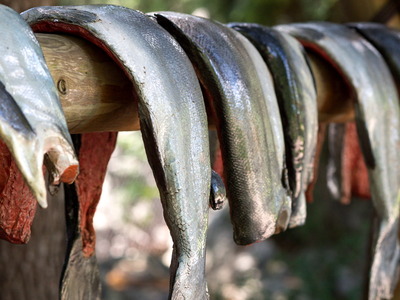 オオワシのエサ