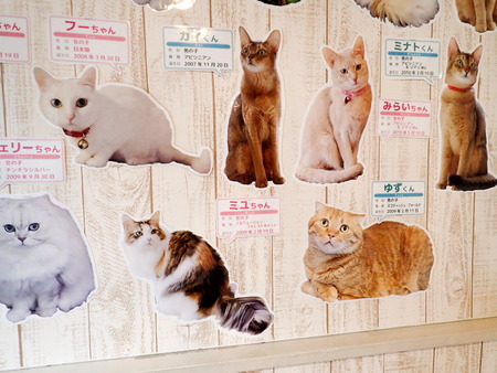 ǭ���ե��줪��28