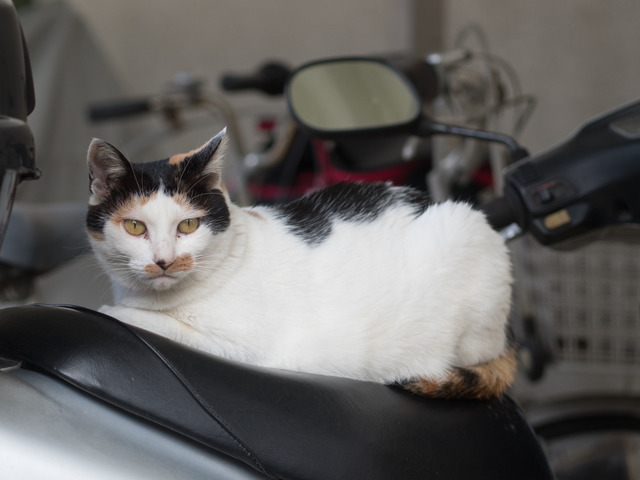 �ߡ������1